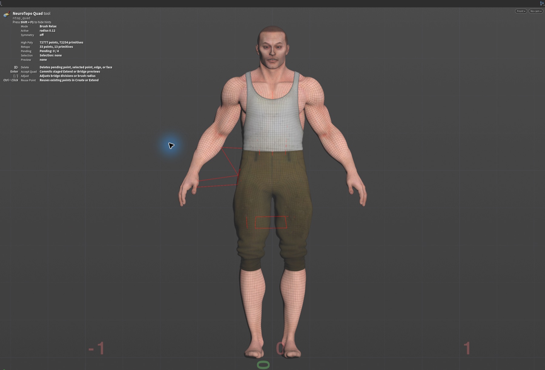 NeuroTopo retopology viewer state running in a Houdini viewport